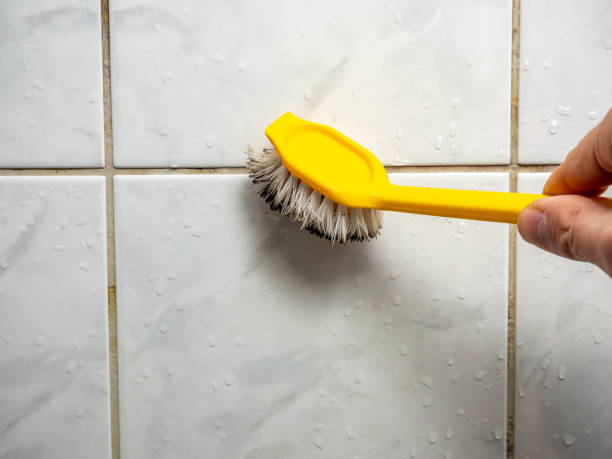 Best Bathroom Mold Remediation in Chantilly, VA