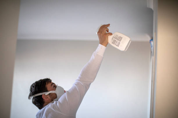 Best Insurance-Related Mold Remediation in Chantilly, VA