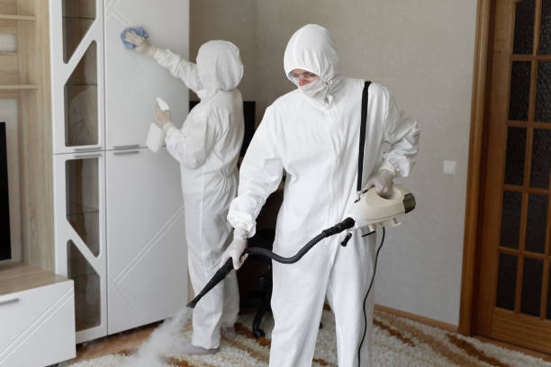 Best Mold Testing and Inspection Services in Chantilly, VA