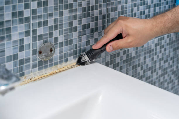 Best Mold Testing and Inspection Services in Chantilly, VA