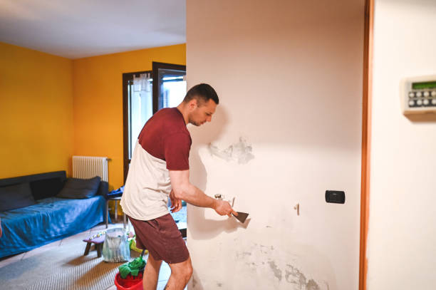 Best Insurance-Related Mold Remediation in Chantilly, VA